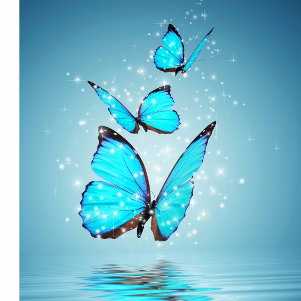 butterfly and star blinking mobile case cover butterfly and star blinking mobile case cover
