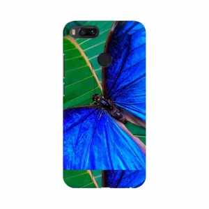 import placeholder for bsrpmaia098