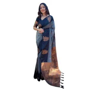 import placeholder for bsb243sa5yyy0130 gry