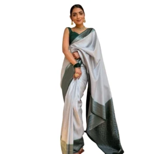 import placeholder for bsb243sa5yyy0146 gry