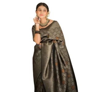 import placeholder for bsb243sa4yyy0154 blk