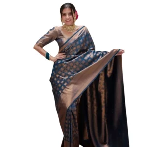 import placeholder for bsb243sa4yyy0142 blu