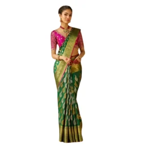 import placeholder for bsb243sa5yyy0147 grn