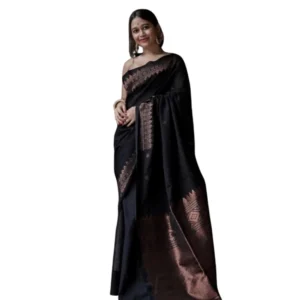 import placeholder for bsb243sa4yyy0149 blk