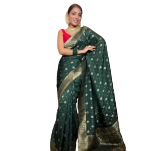 import placeholder for bsb243sa4yyy0106 grn