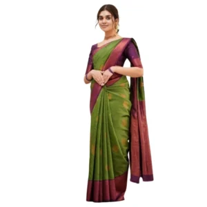 import placeholder for bsb243sa5yyy561 grn