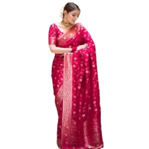 import placeholder for bsb243sa4yyy0100 rani pnk
