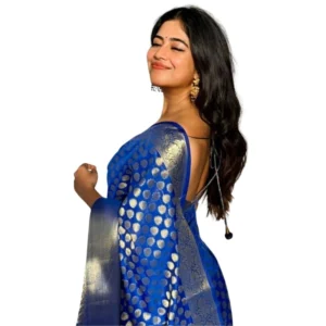 import placeholder for bsb243sa4yyy0160 ryl blu