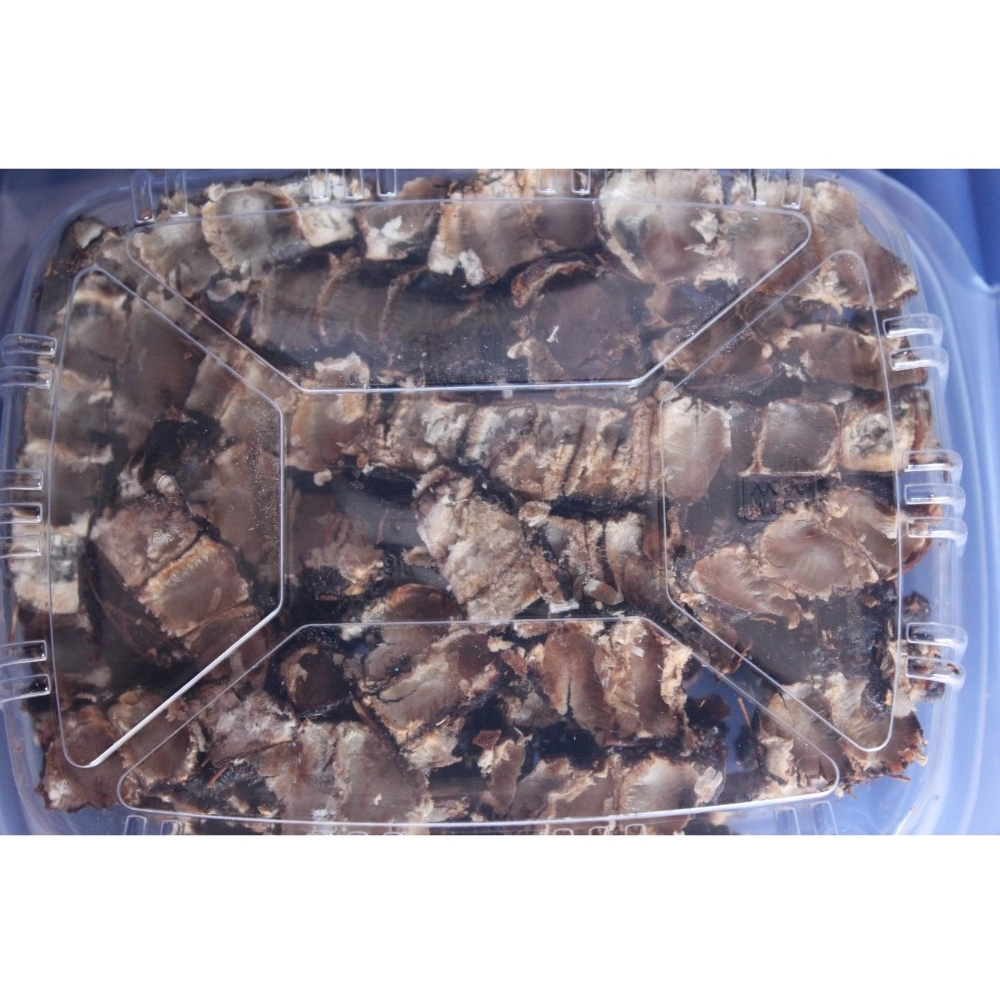 generic organic seedless tamarind perfect for cooking (brown, 500gm) generic organic seedless tamarind perfect for cooking (brown, 500gm)