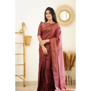 import placeholder for bsb233sasyyyh 4068 maroon