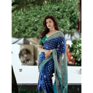 import placeholder for bsb233sasyyyh 5012 nvyblu