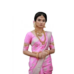 import placeholder for bsb233sasyyyhv 092