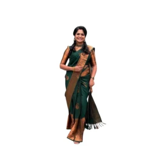 import placeholder for bsb233sasyyyhv 145 grn