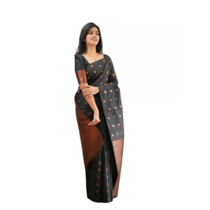 import placeholder for bsb233sasyyyhv 166 blk