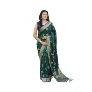import placeholder for bsb233sasyyyhv 212 bgrn