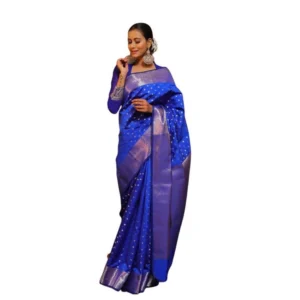 import placeholder for bsb233sasyyyhv 218 blu