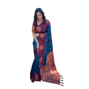 import placeholder for bsb233sasyyyhv 221 blu